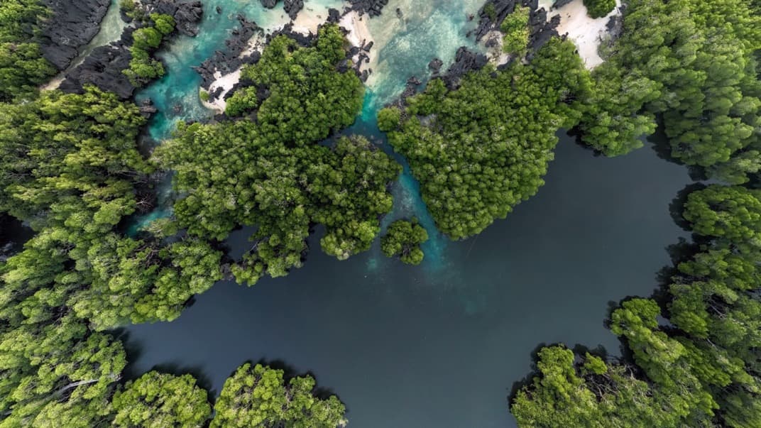 Lagoon
